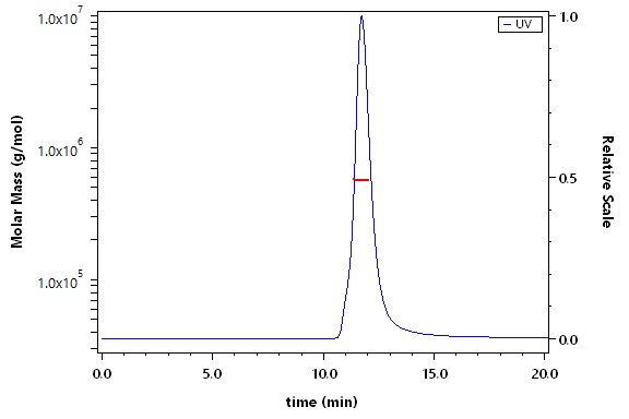 Spike protein SEC-MALS