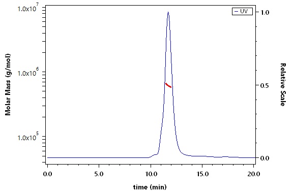 Spike protein SEC-MALS