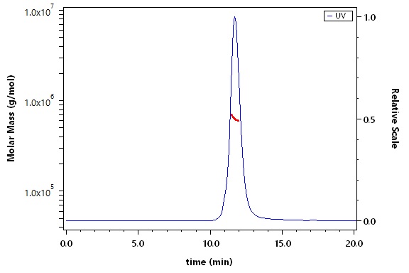 Spike protein SEC-MALS