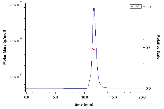 Spike protein SEC-MALS