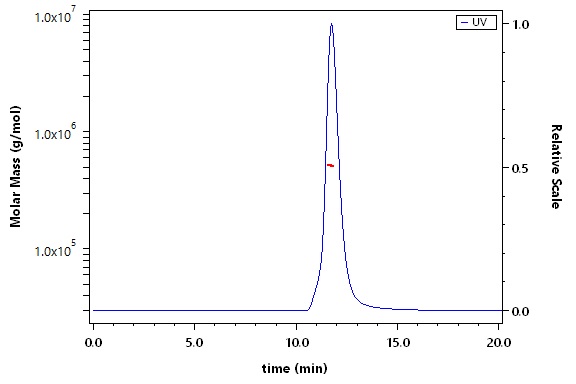 Spike protein SEC-MALS