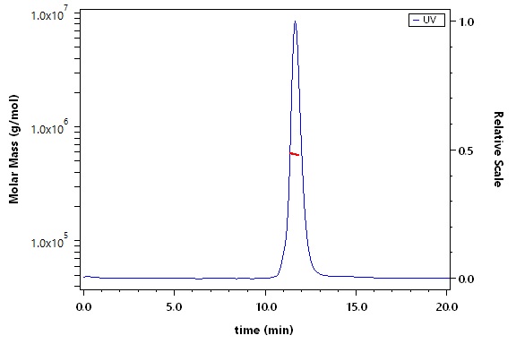 Spike protein SEC-MALS