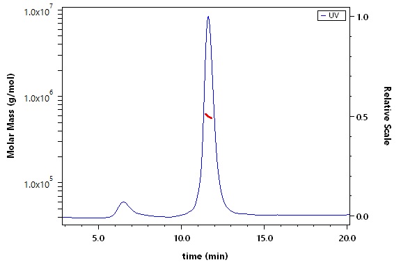 Spike protein SEC-MALS