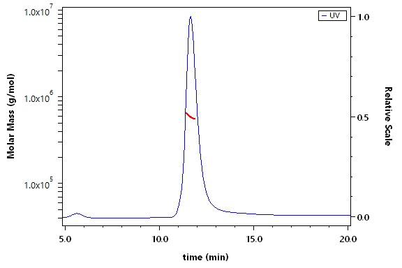 Spike protein SEC-MALS