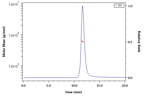 Spike protein SEC-MALS