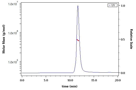 Spike protein SEC-MALS