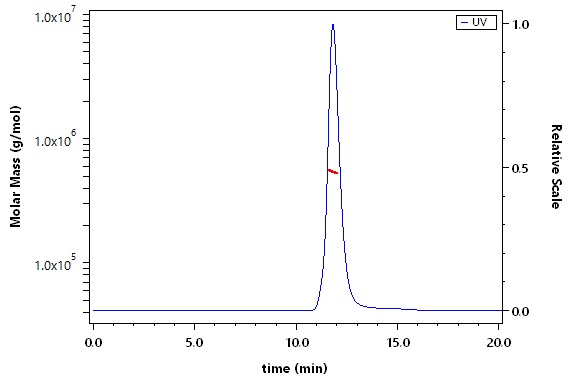 Spike protein SEC-MALS