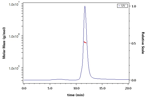 Spike protein SEC-MALS