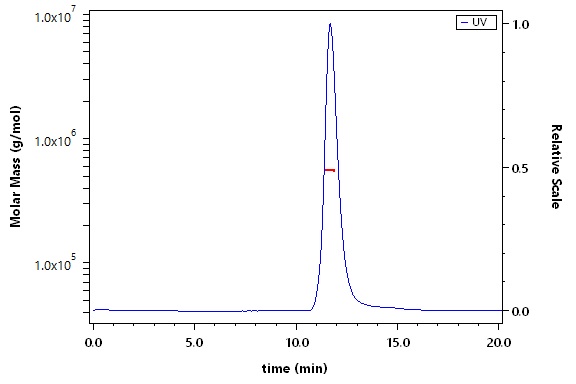 Spike protein SEC-MALS