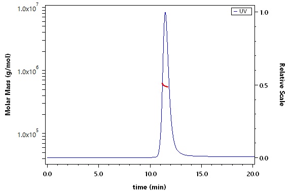 Spike protein SEC-MALS