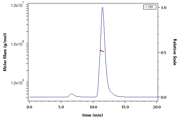 Spike protein SEC-MALS