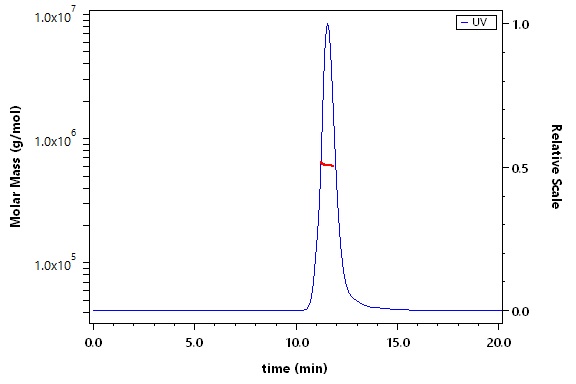 Spike protein SEC-MALS