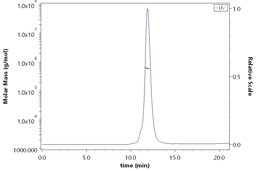 Spike protein SEC-MALS
