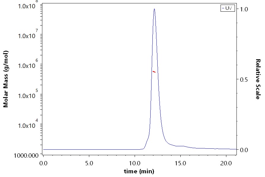 Spike protein SEC-MALS