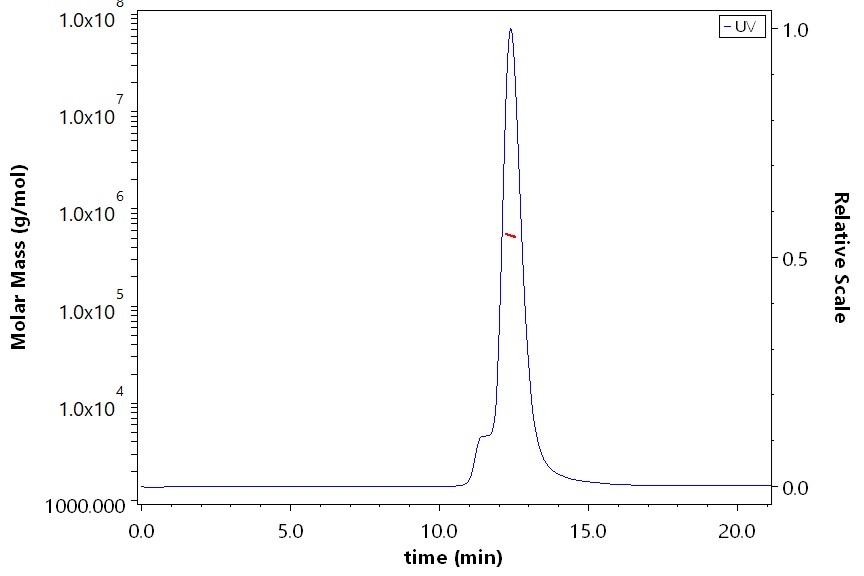 Spike protein SEC-MALS