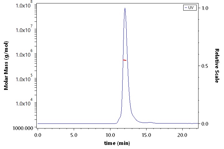 Spike protein SEC-MALS