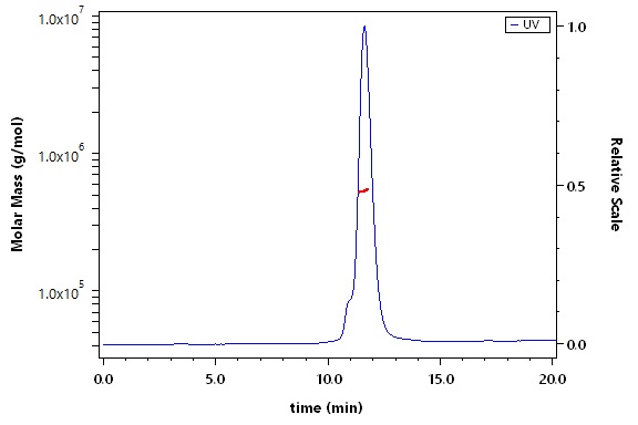 Spike protein SEC-MALS