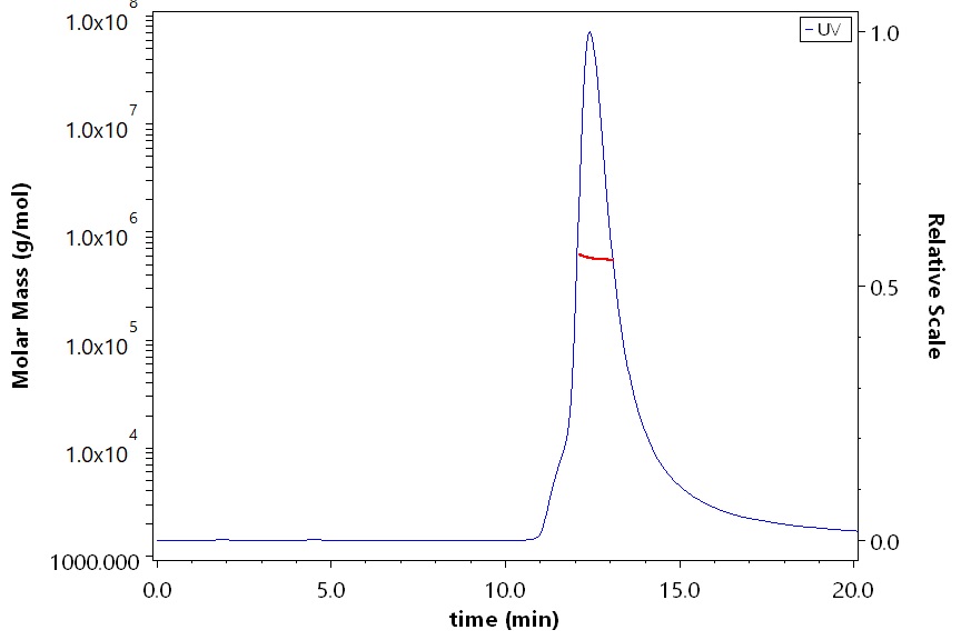 Spike protein SEC-MALS