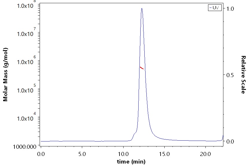 Spike protein SEC-MALS