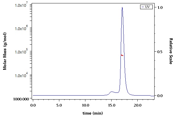 STAT3 SEC-MALS