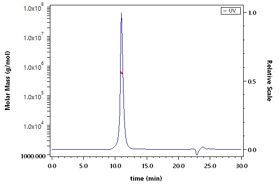 Tenascin SEC-MALS