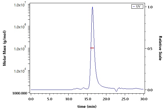 Latent TGF-beta 1 SEC-MALS