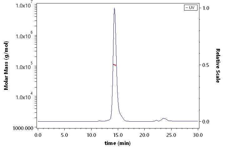 TNFR1 SEC-MALS