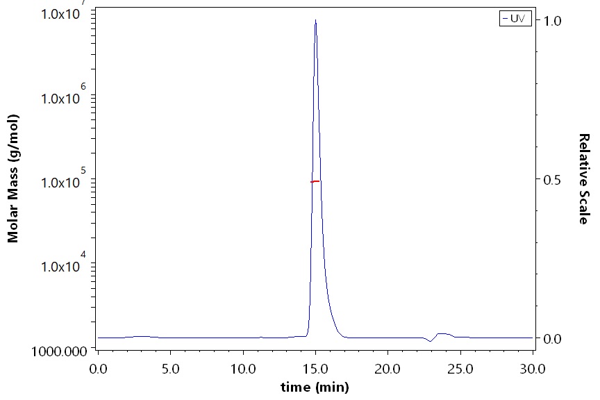 CD40 SEC-MALS