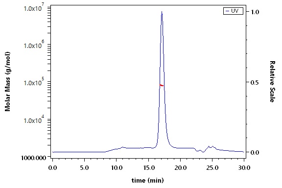 Transferrin SEC-MALS
