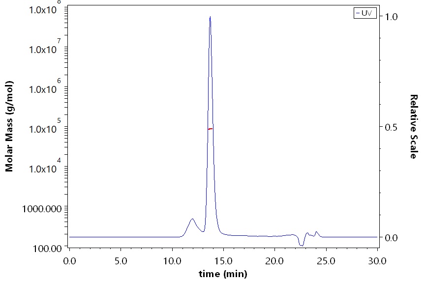 VCAM-1 SEC-MALS