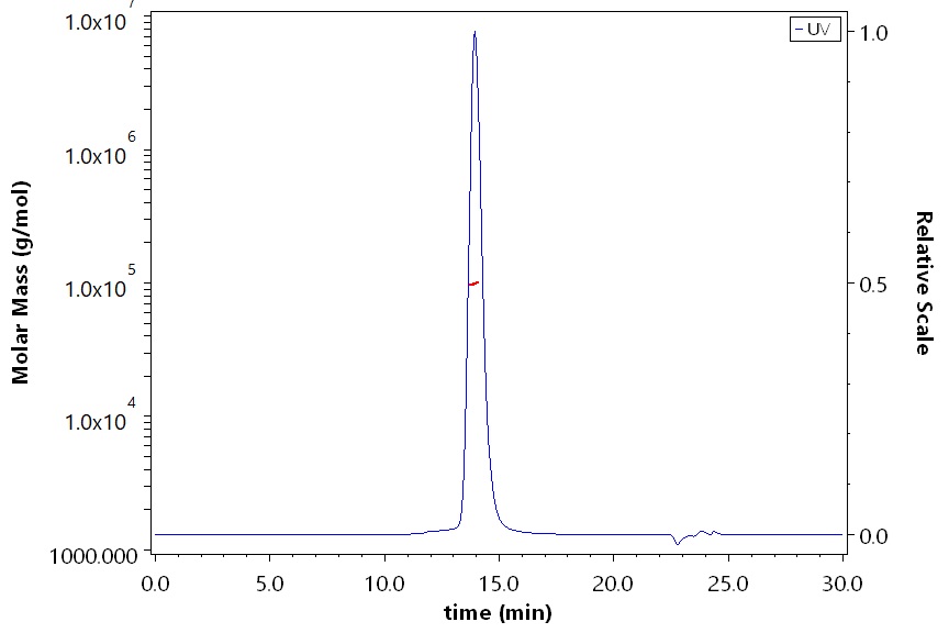 VCAM-1 SEC-MALS