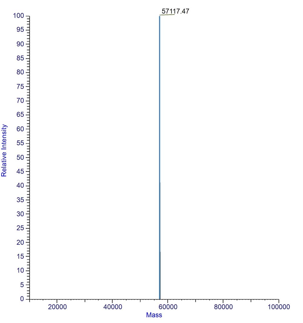CD117 MASS_SPECTROMETRY