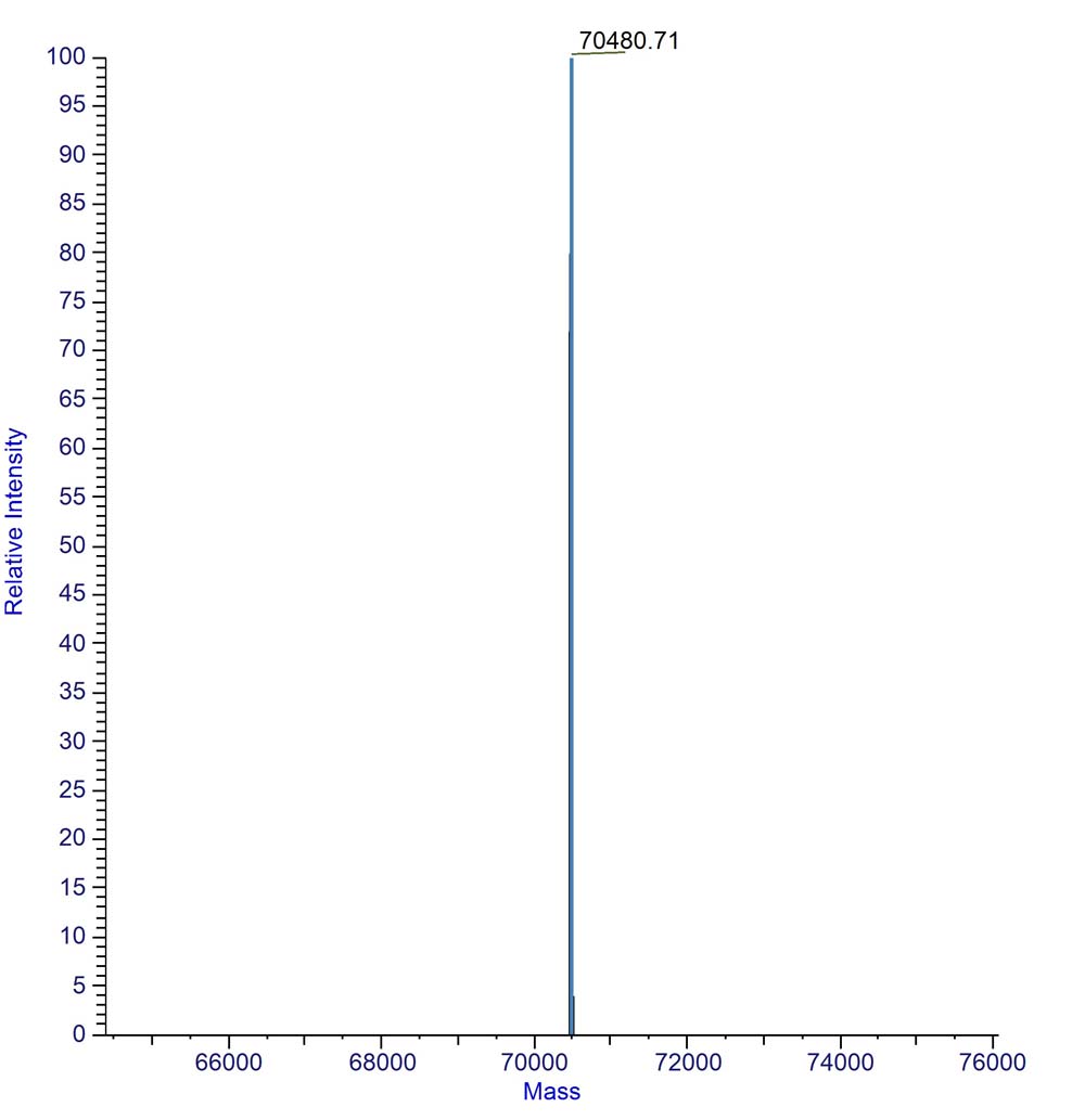 EGF R MASS_SPECTROMETRY
