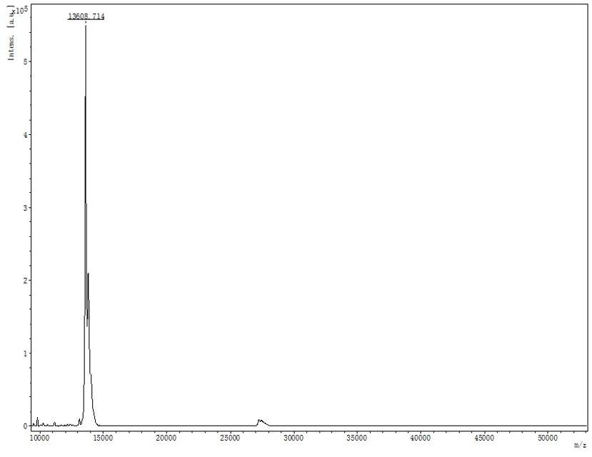 BDNF MASS_SPECTROMETRY