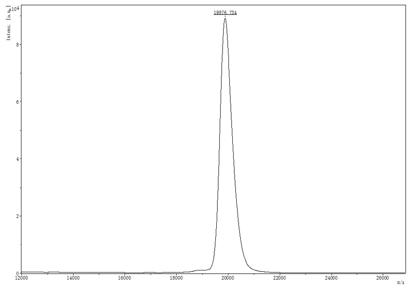 Sonic Hedgehog MASS_SPECTROMETRY