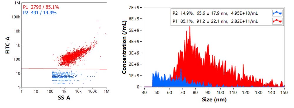 CD5 NANOFLOW CYTOMETRY (TLNP)