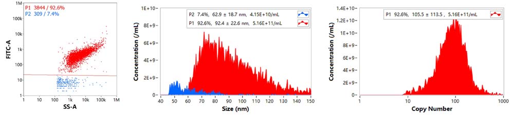 Alexa Fluor™ 488-Labeled Human CD5 Protein, His TagStar Staining