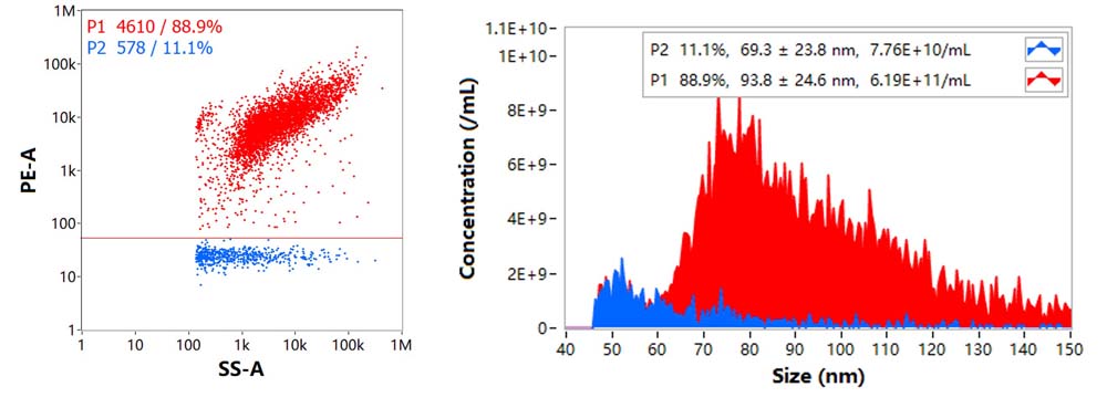 CD5 NANOFLOW CYTOMETRY (TLNP)