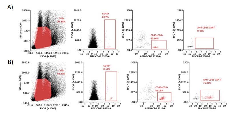 CD19 FACS