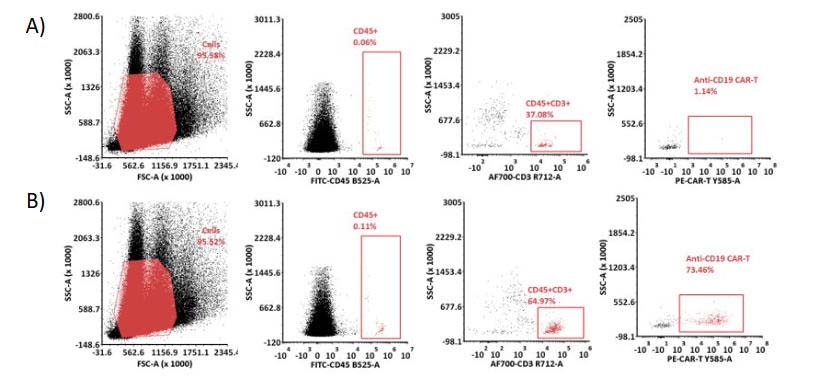 Biotinylated Monoclonal Anti-FMC63 Antibody, Mouse IgG1, Avitag