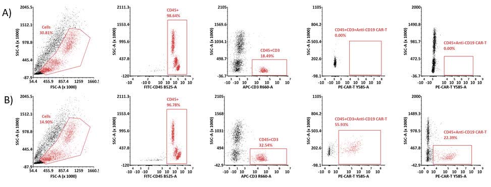 PE-Labeled Monoclonal Anti-FMC63 Antibody, Mouse IgG1 (Y45) (Site