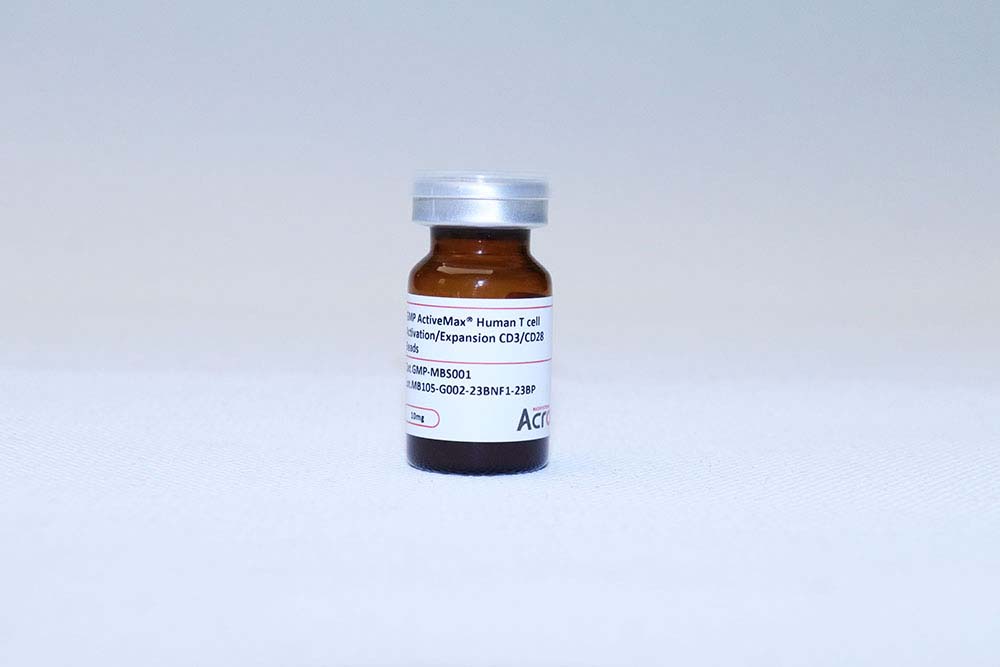 GMP ActiveMax® Human T cell Activation/Expansion CD3/CD28 Beads