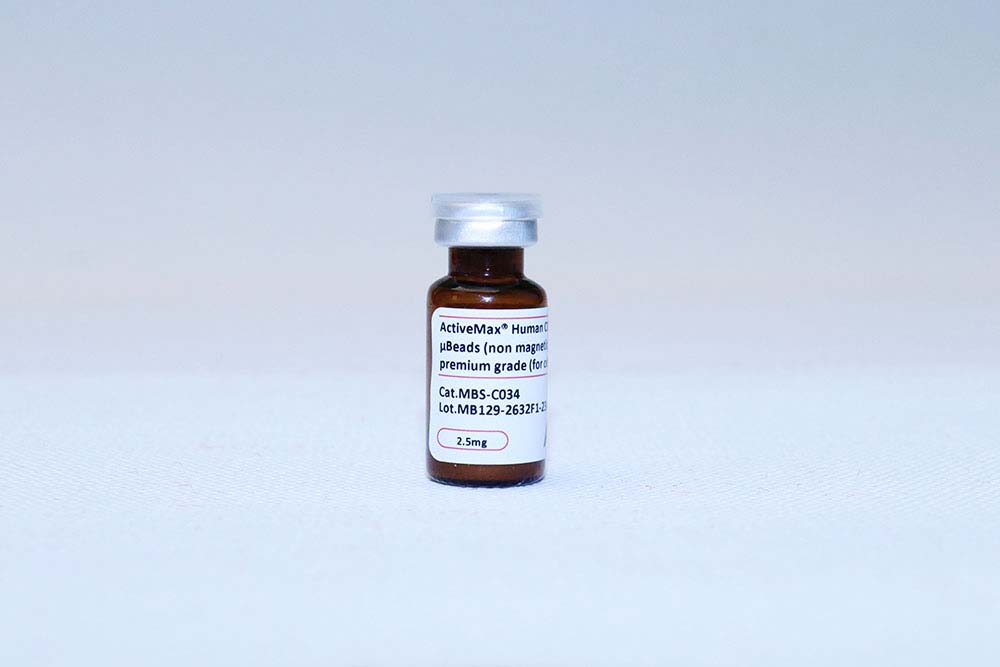 CD19 PRODUCT SHOW