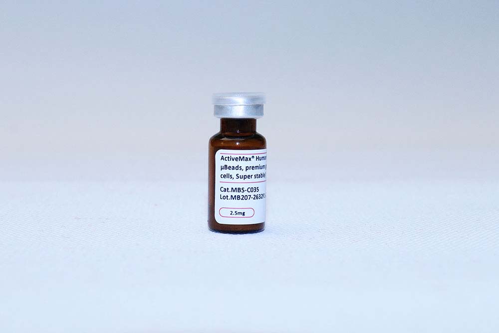 CD19 PRODUCT SHOW