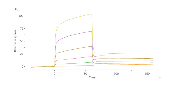 Apolipoprotein E SPR