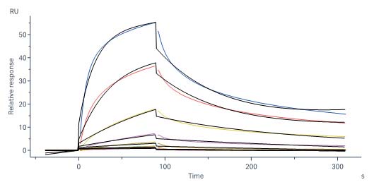 Apolipoprotein E SPR