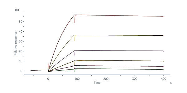 FITC-Labeled Human Cadherin-17 / CDH17 (23-787) Protein, His Ta