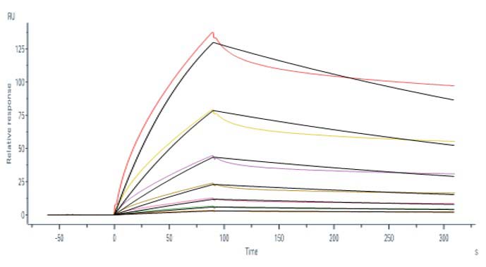 CD4 SPR