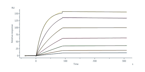 CD19 SPR