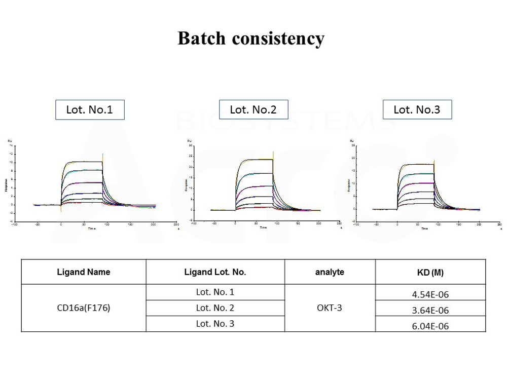 Fc gamma RIIIA / CD16a BATCH SPR